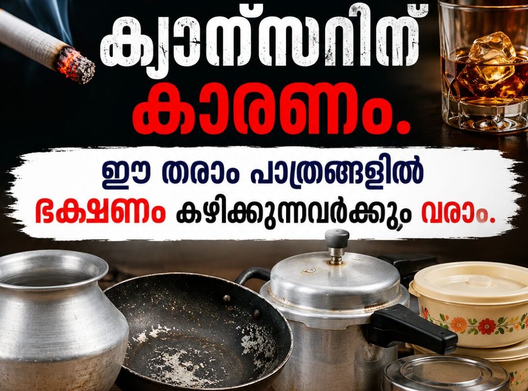 beware cancer causing food plates