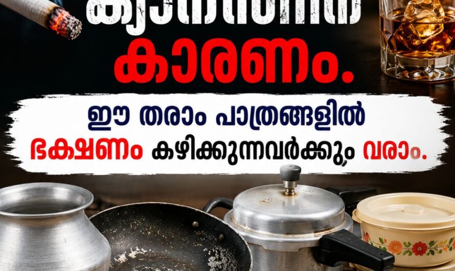 പുകവലിയും മദ്യവും മാത്രമല്ല ക്യാന്സറിന് കാരണം. ഈ തരം പാത്രങ്ങളിൽ ഭക്ഷണം കഴിക്കുന്നവർക്കും വരാം.