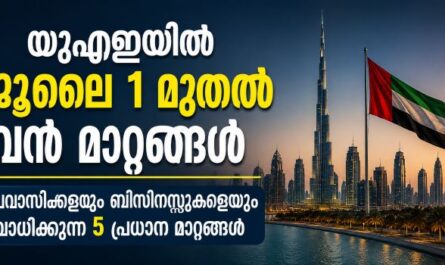 യുഎഇയിലെ പ്രവാസികൾക്കും ബിസിനസ്സ് മേഖലയ്ക്കും നിർണായകമായ നിരവധി മാറ്റങ്ങളാണ് ജൂലൈ ഒന്ന് മുതൽ പ്രാബല്യത്തിൽ വരുന്നത്.